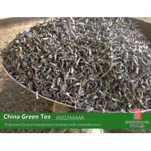 China green tea factory